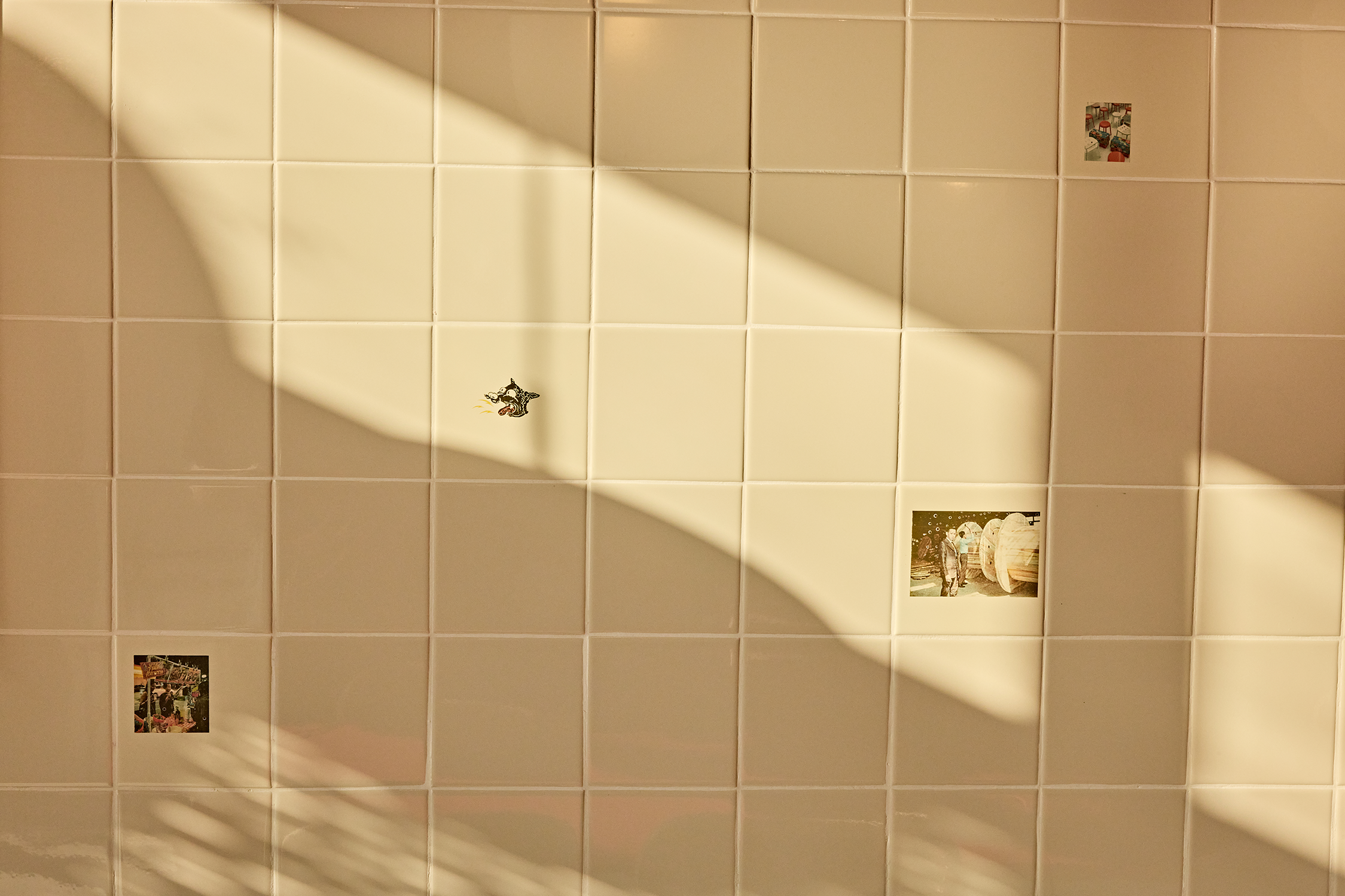 2024-07-03 HolyBasil SantaMonica3169Red_reduced.png