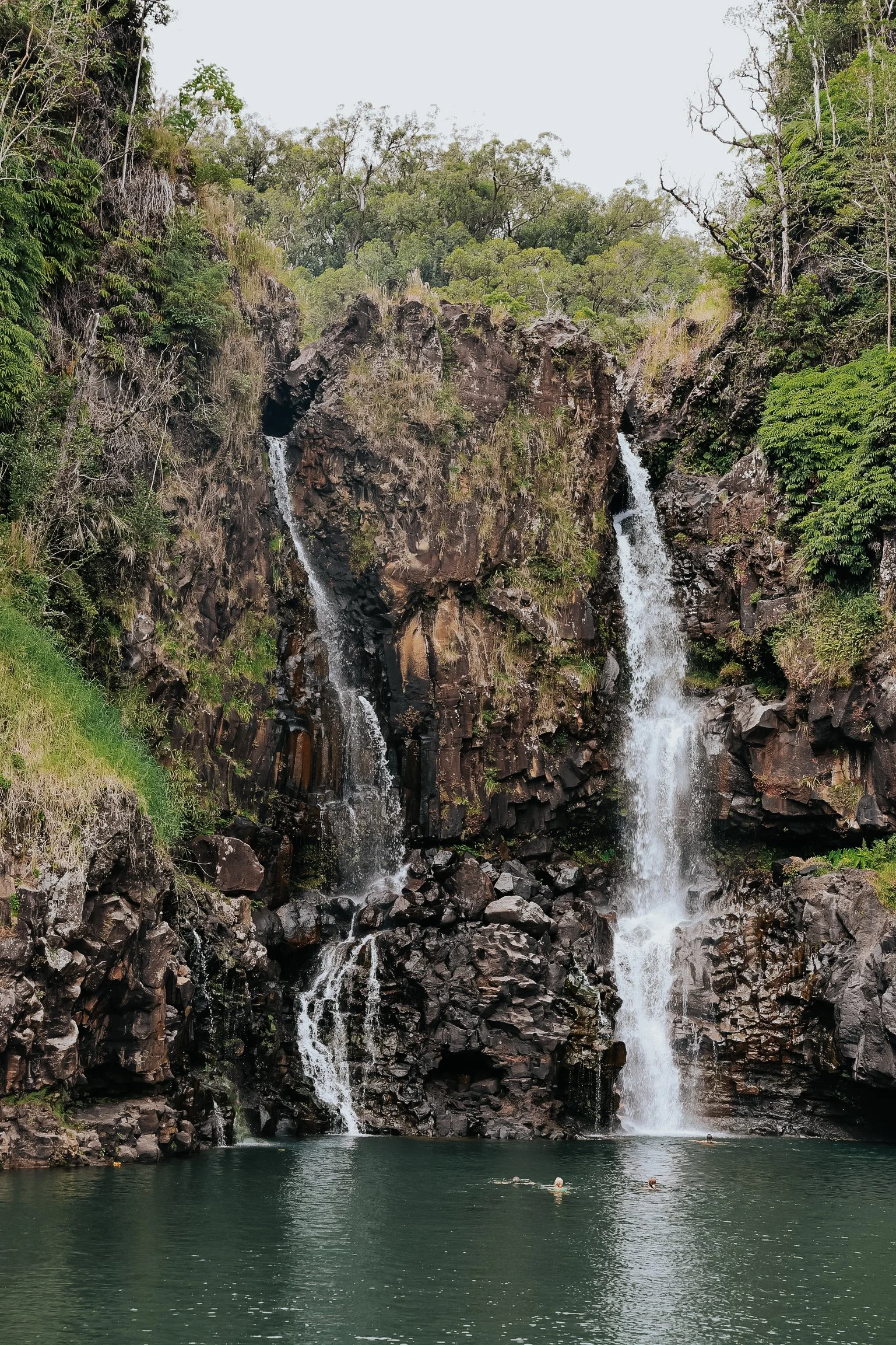 95E120F0-CD23-4F9D-AE98-47A57015CE16 2.JPG