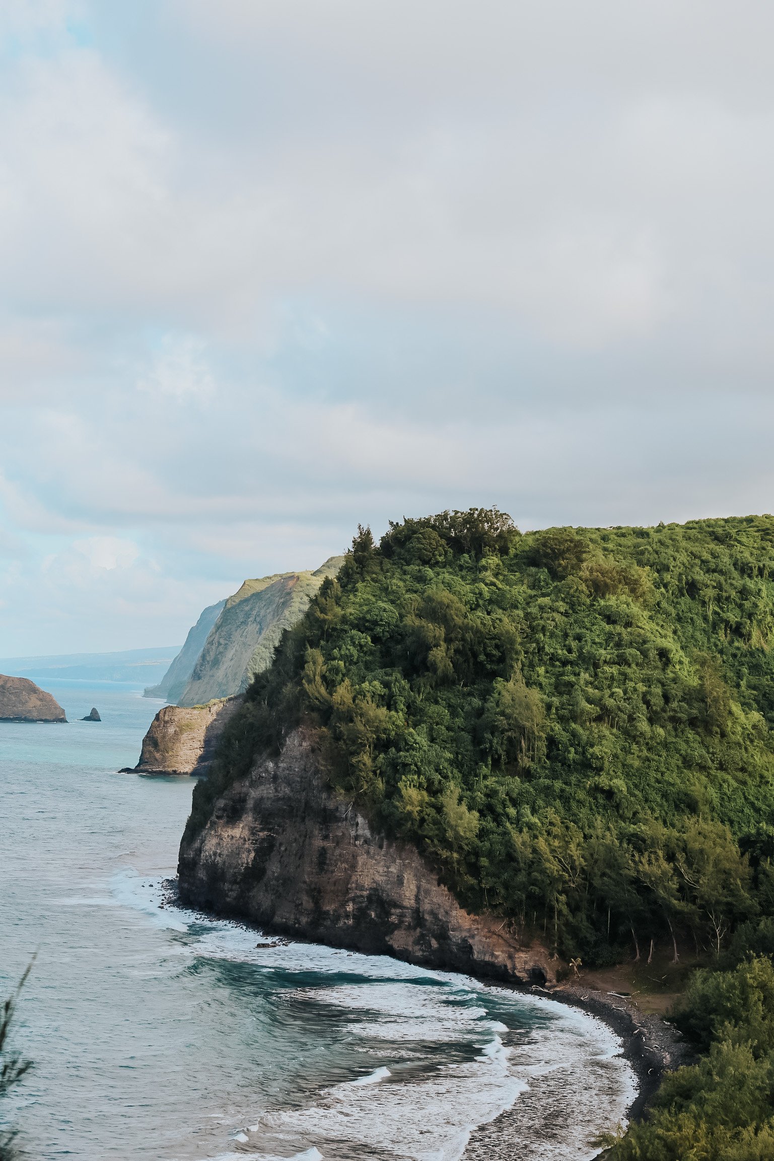 8BE0BEE6-4DDA-4308-B79D-D947B6F96209 2.JPG