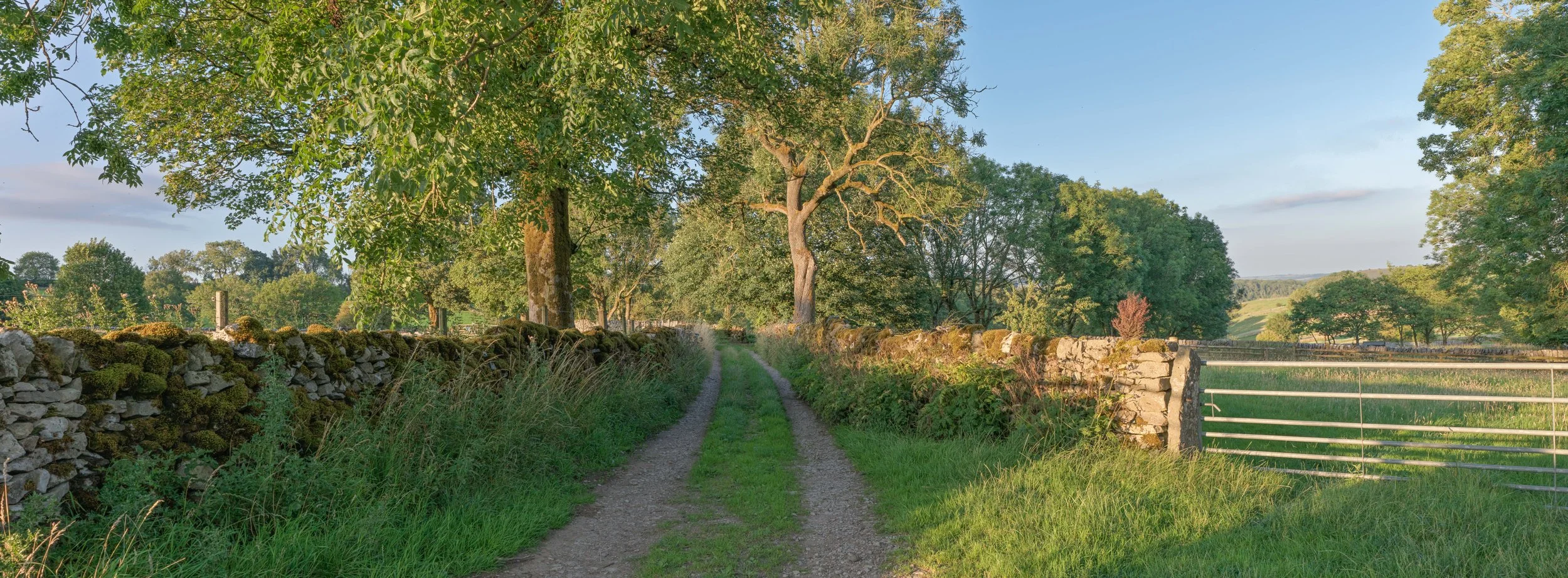 Farm track and fields