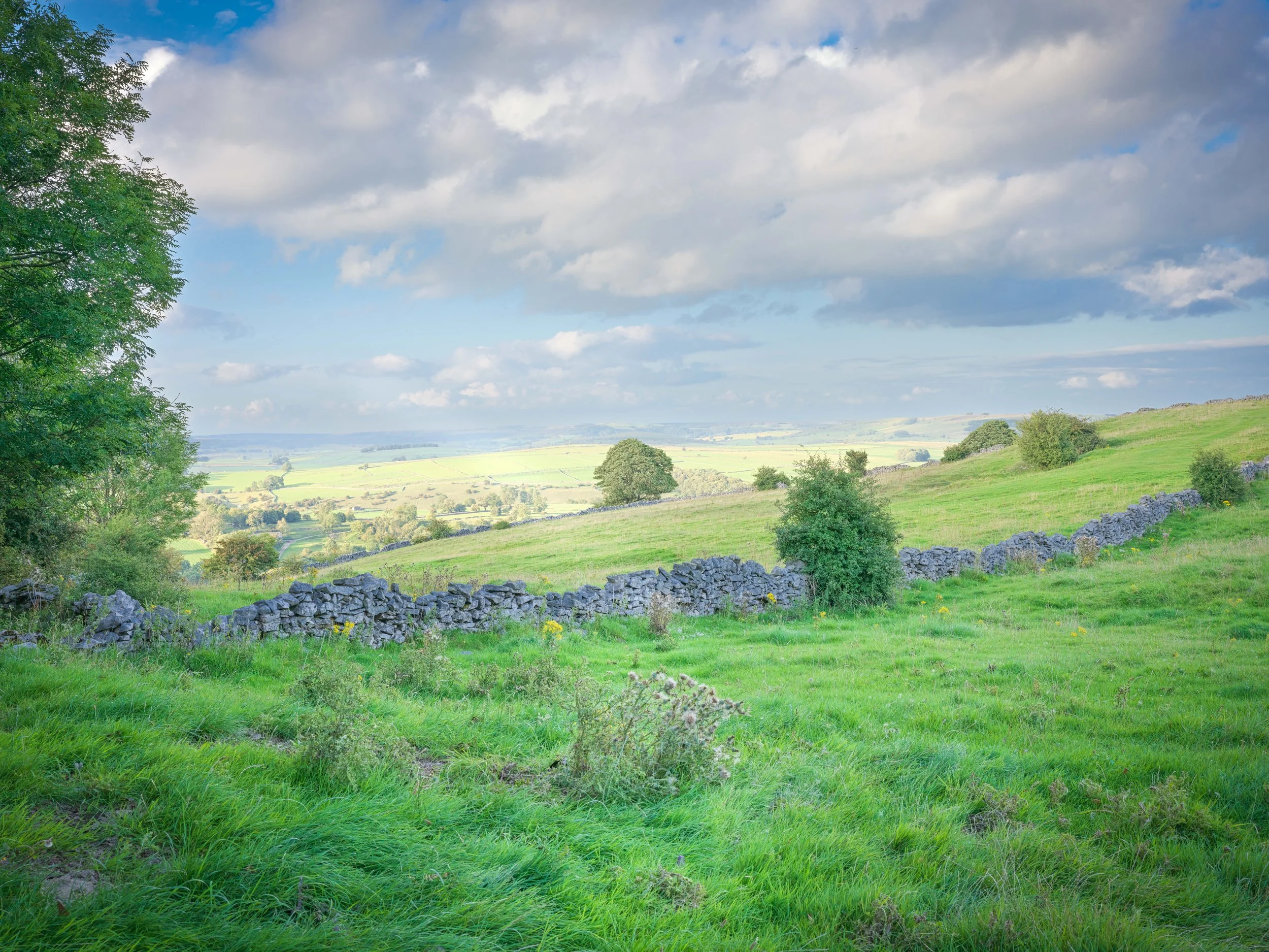 Derbyshire Dales