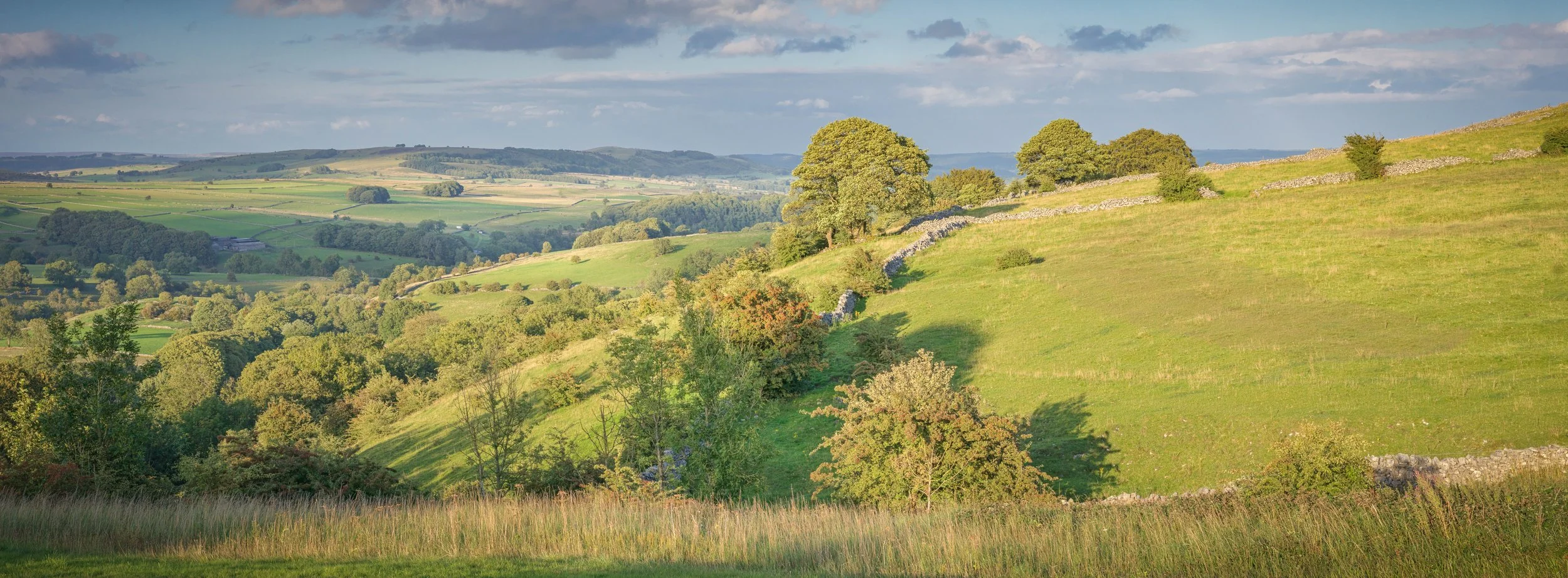 Derbyshire Dales 
