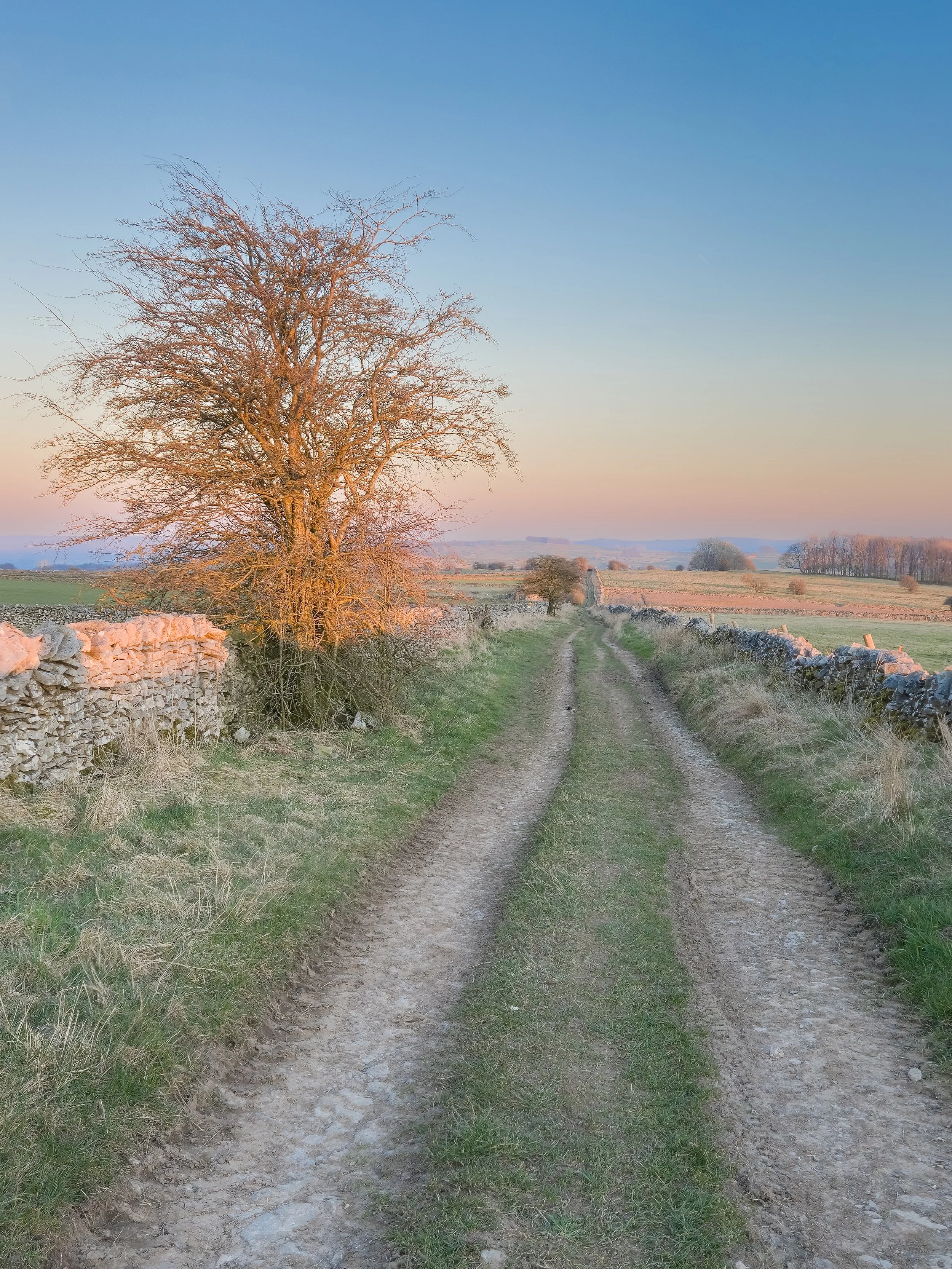 Peak District life