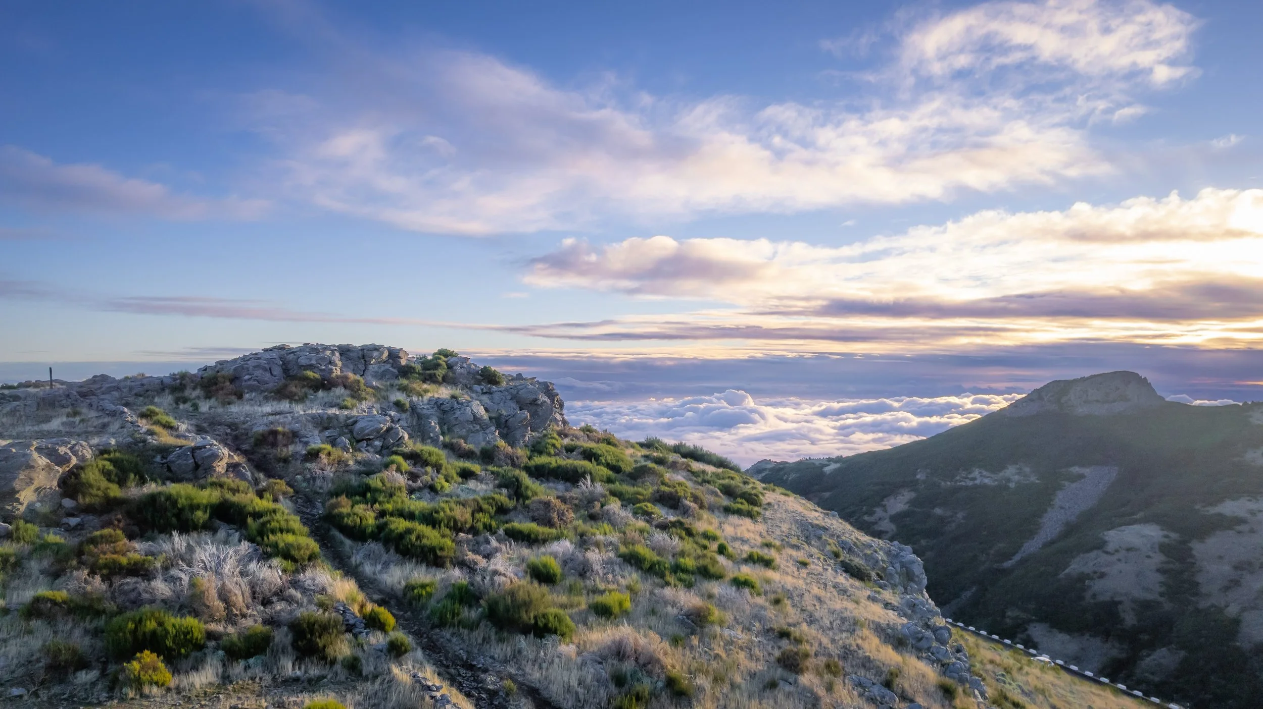 DJI_0091-1.jpg