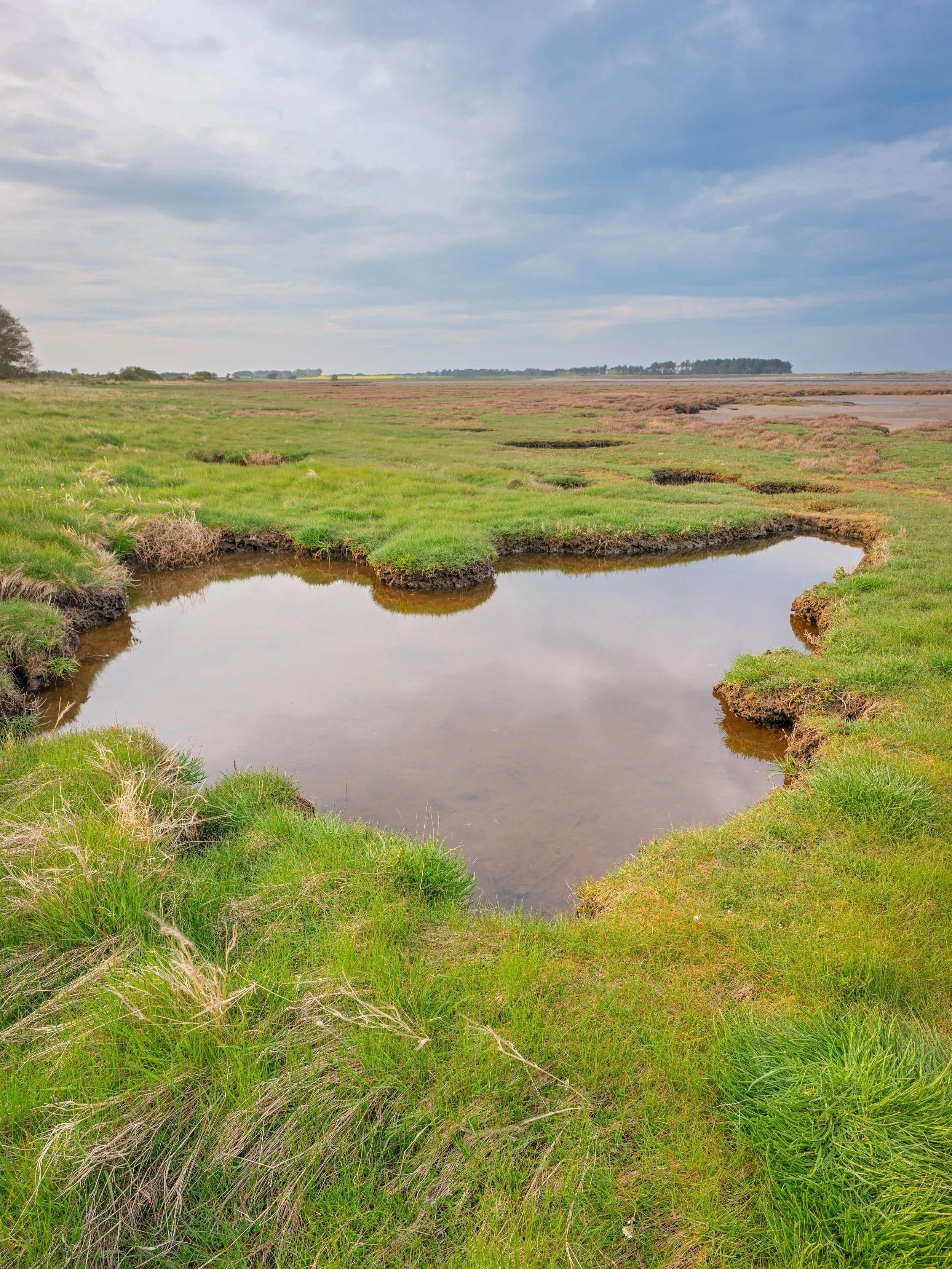 B_0550-Edit-2.jpg