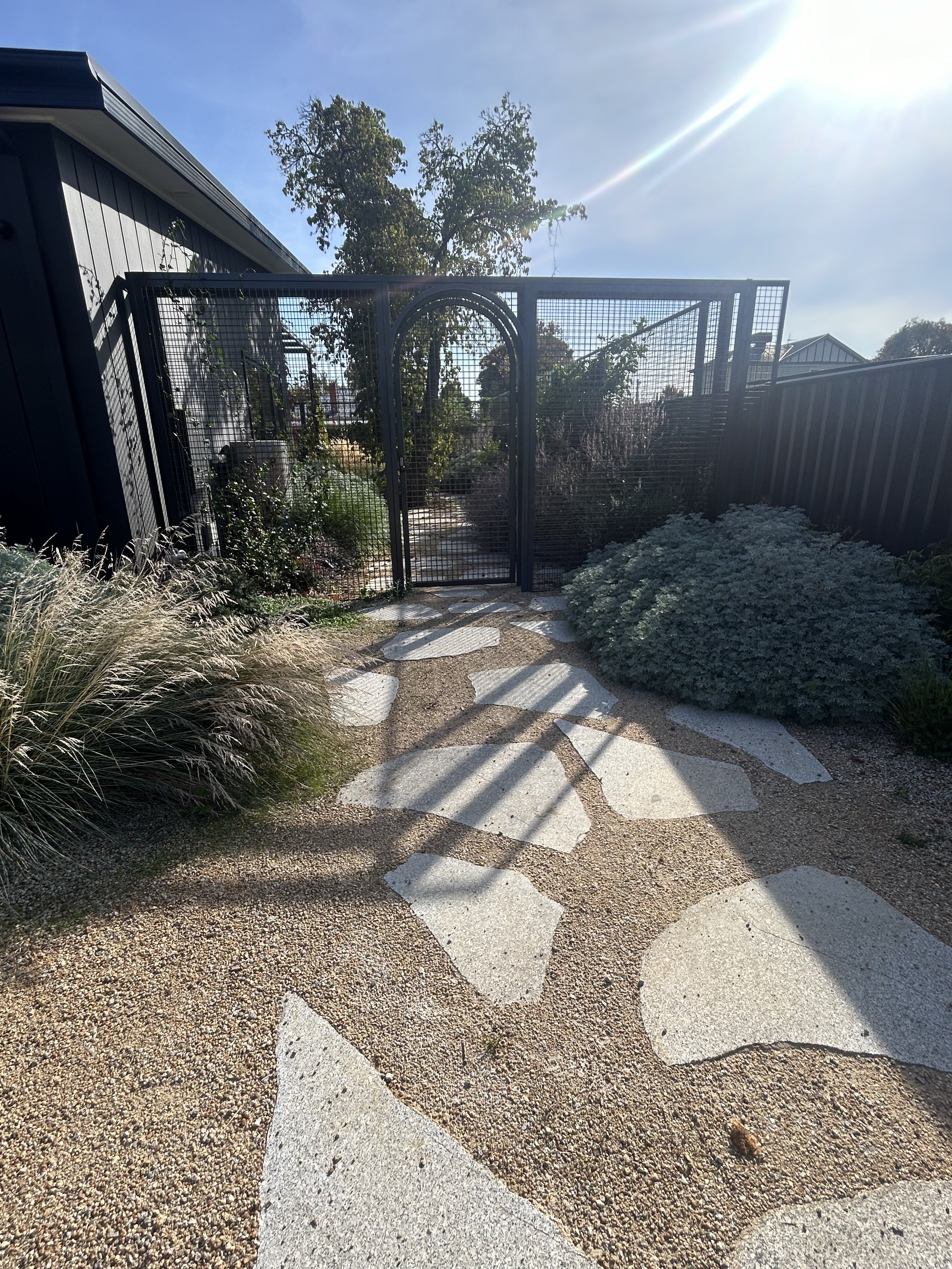 A black wire gate with a sidewalk leading up to it, lined with various bushes and plants on either side, under a bright blue sky with sunlight and a nearby tree.