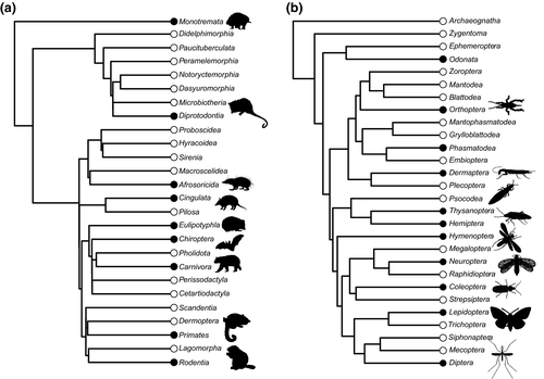 New paper in Functional Ecology!