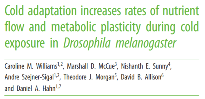 New paper about cold adaptation in Drosophila melanogaster