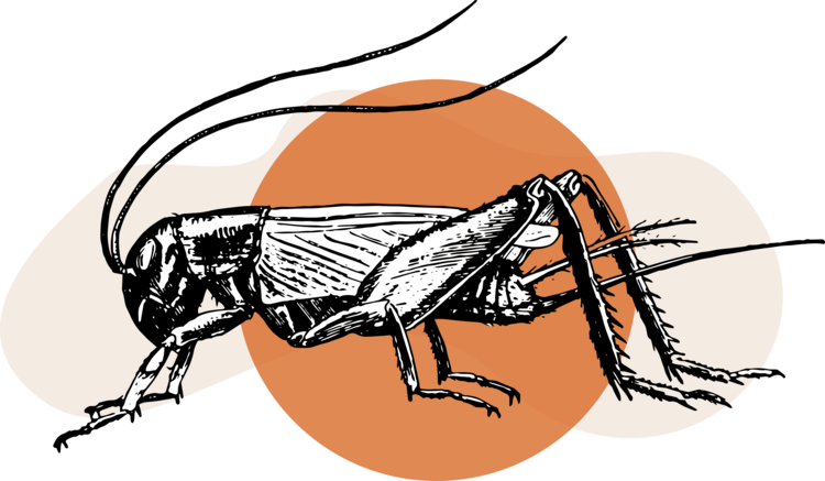 Lab News in 2014