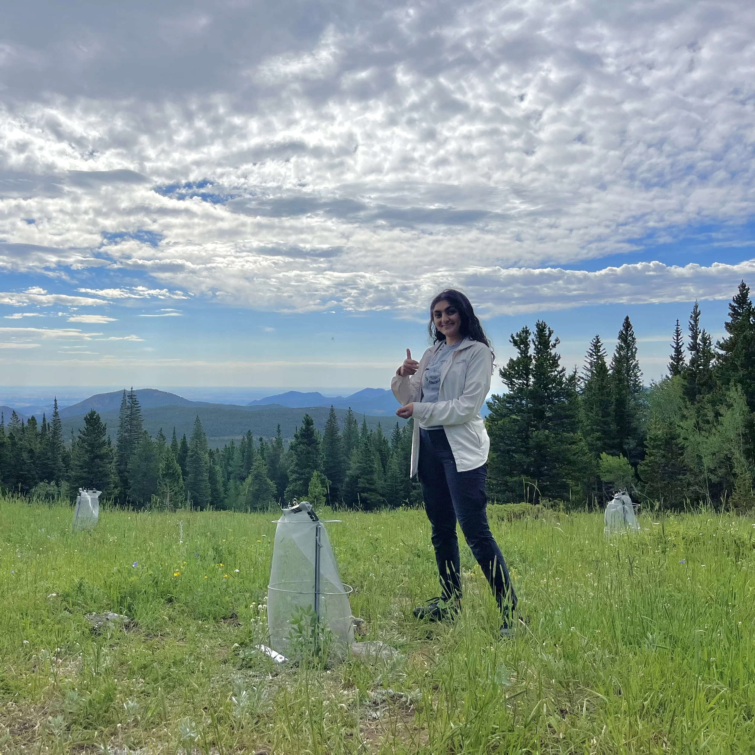 Welcome new lab manager and grasshopper researcher, Simran Bawa!