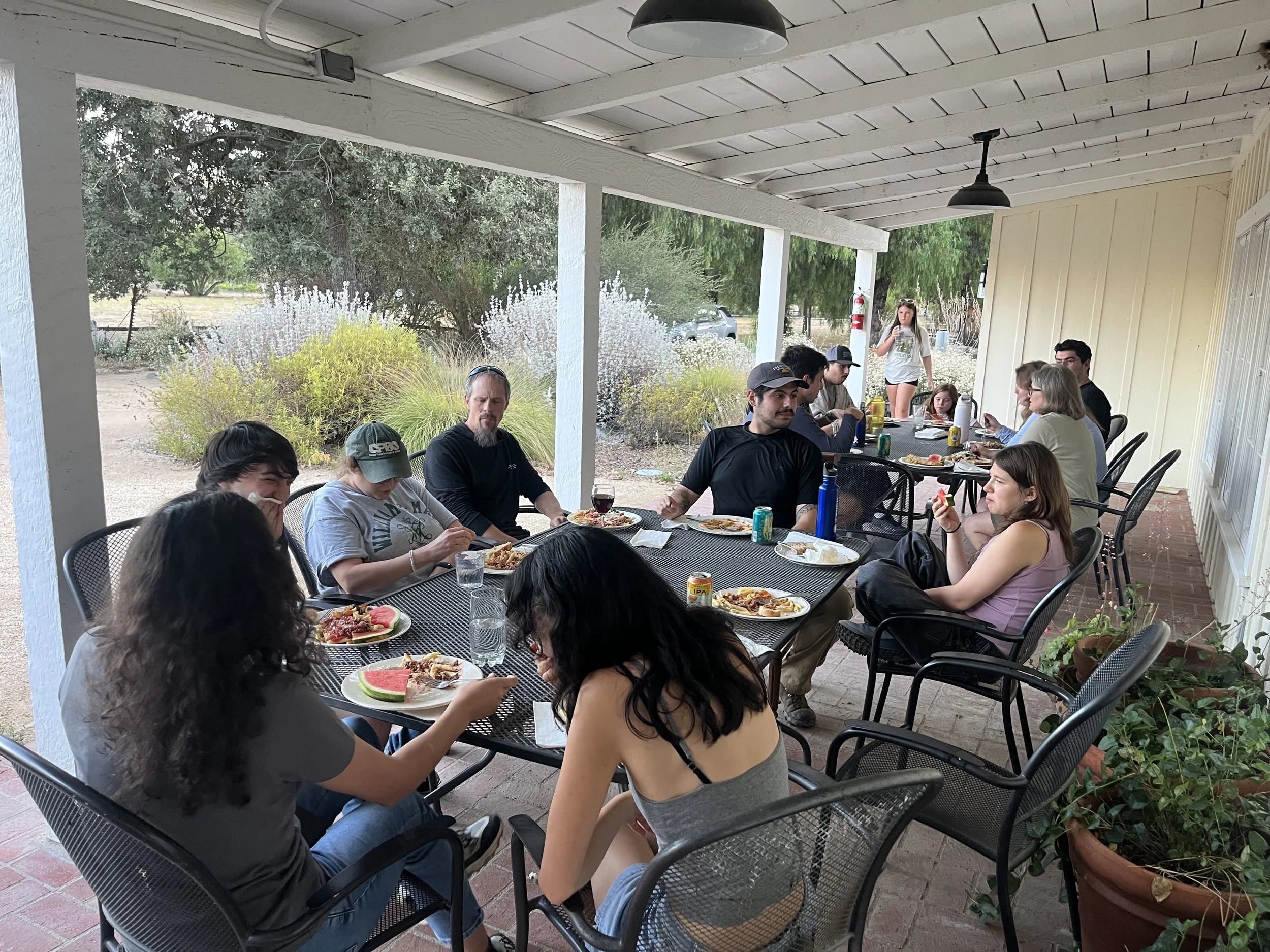 dinner.jpg