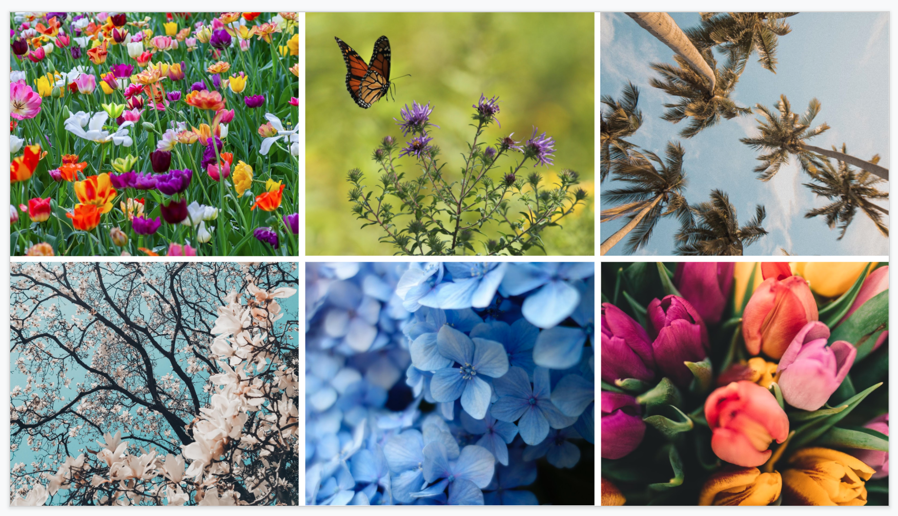 Screen Shot 2021-06-25 at 12.39.23 PM.png