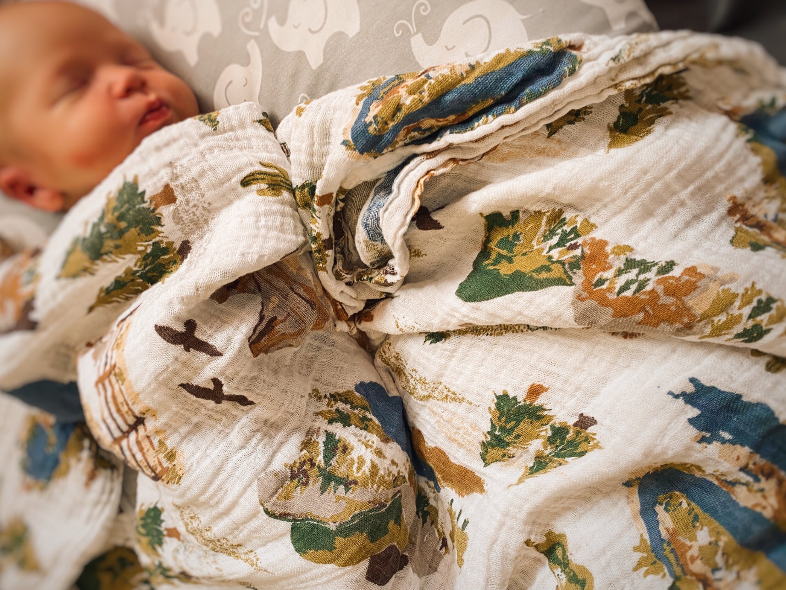 You can find the complete Wyoming collection here.