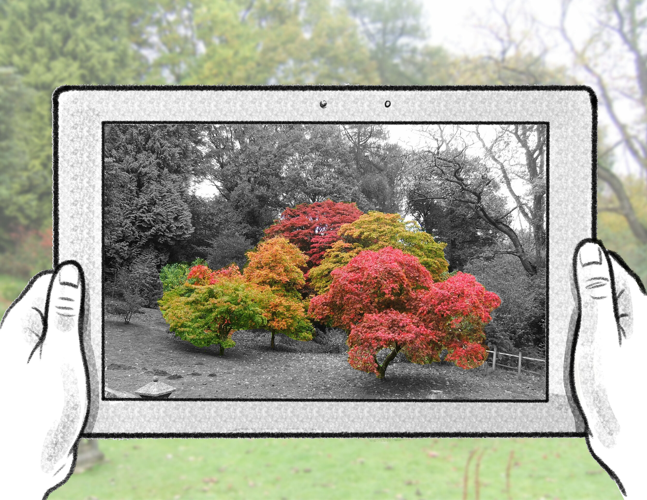 OOBE Enhanced Photography 3 Rachel.jpg