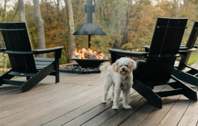 Small dog standing on an outdoor deck near Adirondack chairs and a fireplace at a dog-friendly Catskills hotel.