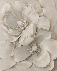 Magnolia+Moonlight.png