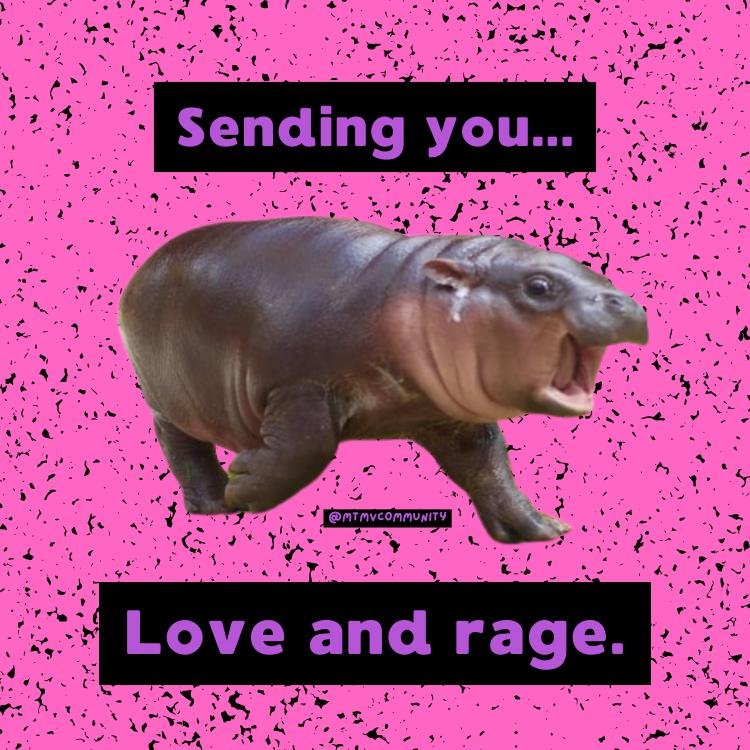 https://i.etsystatic.com/21695172/r/il/1b3781/7070923533/il_fullxfull.7070923533_oj51.jpg