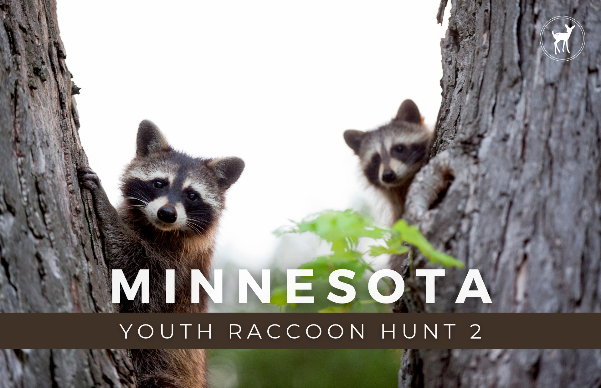 TRIP COVER PHOTOS_ LITTLE WILDERNESS.png