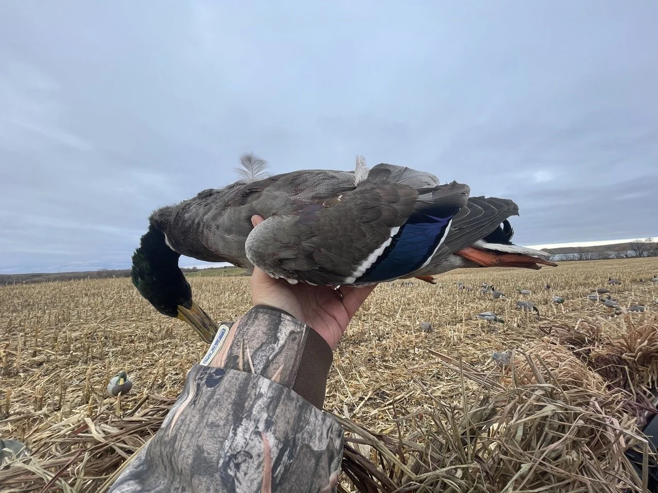 ND WATERFOWL13.jpeg