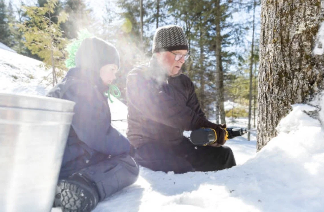 MN MAPLE SYRUP3.jpeg