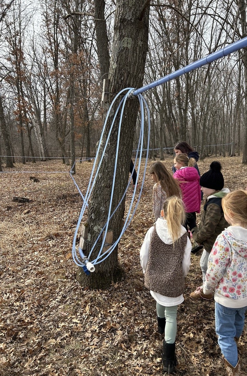 MN MAPLE SYRUP5.jpeg