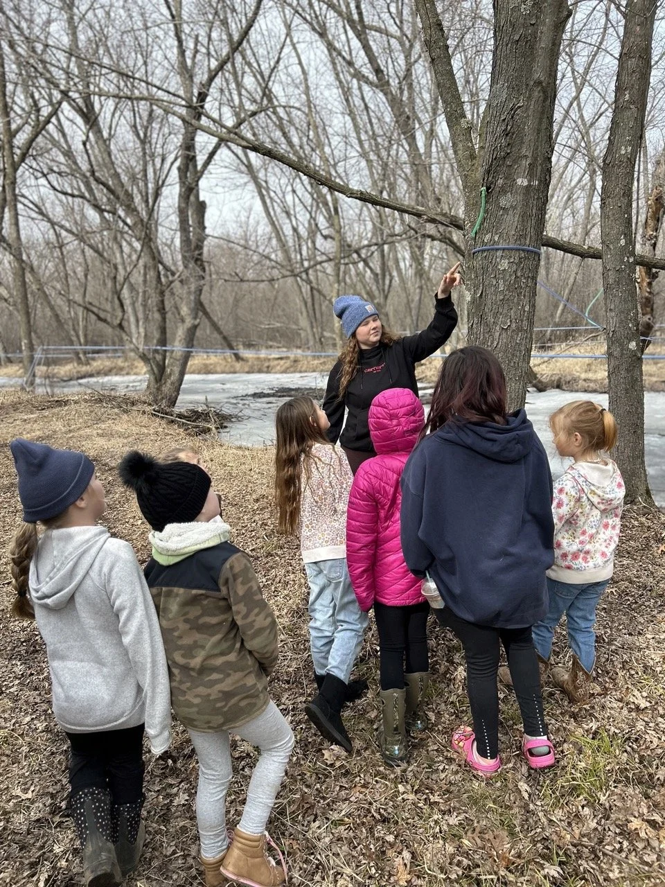 MN MAPLE SYRUP6.jpeg