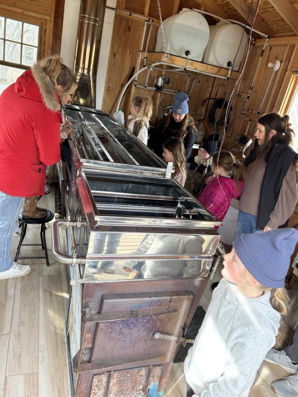 MN MAPLE SYRUP11.jpeg