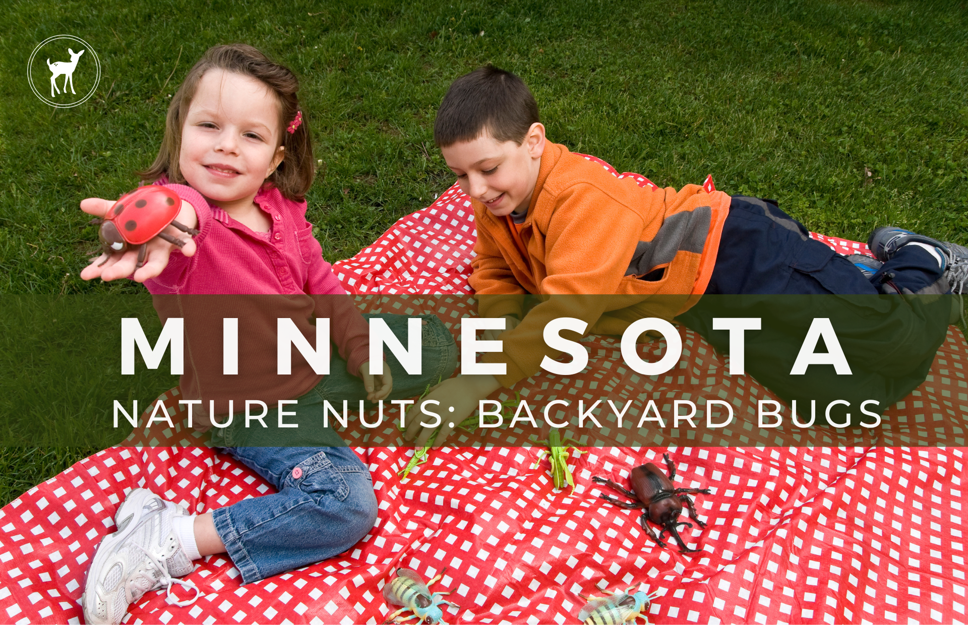 UPCOMING EVENTS — LITTLE WILDERNESS