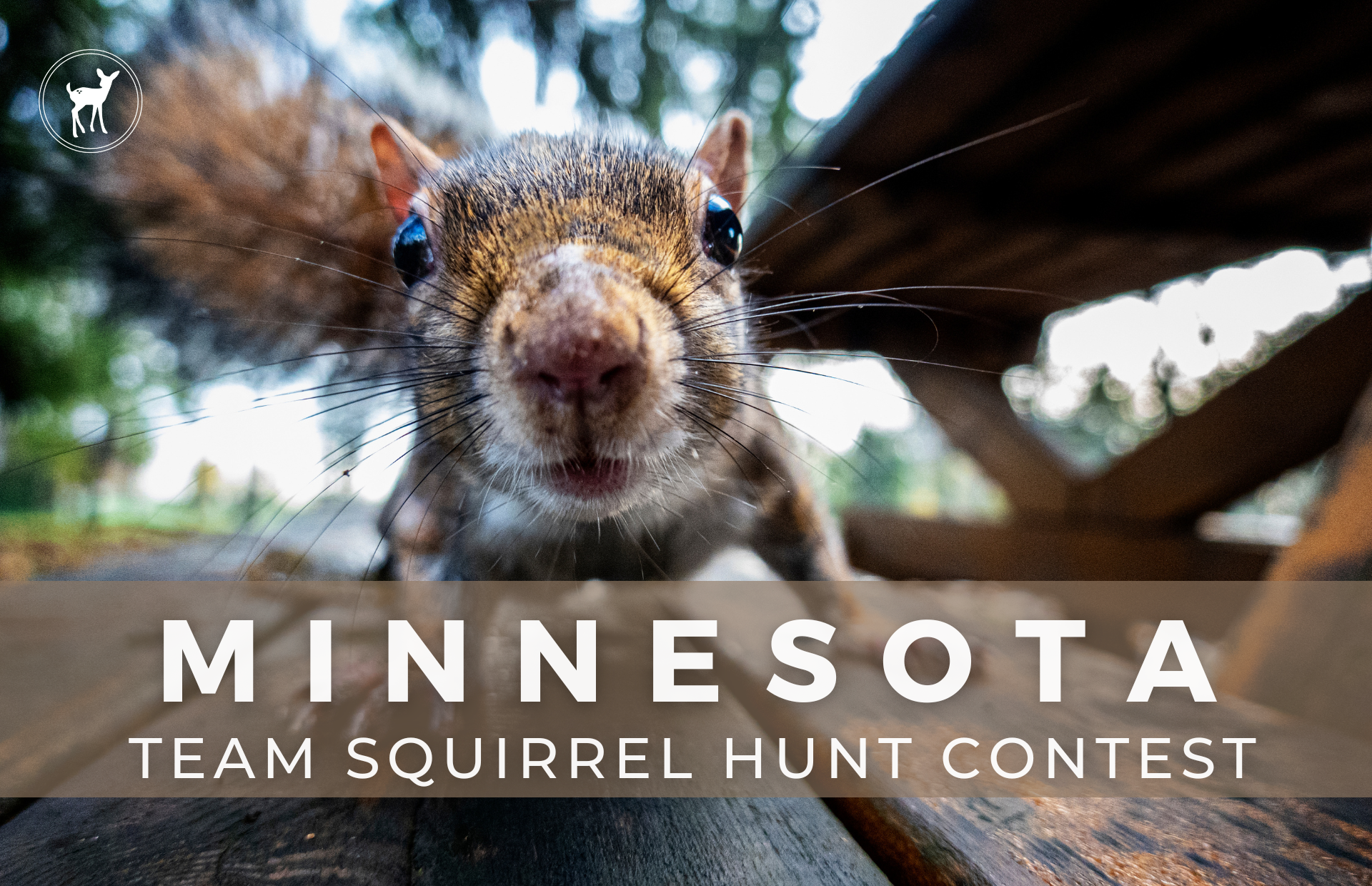 Team Squirrel Hunt Contest 