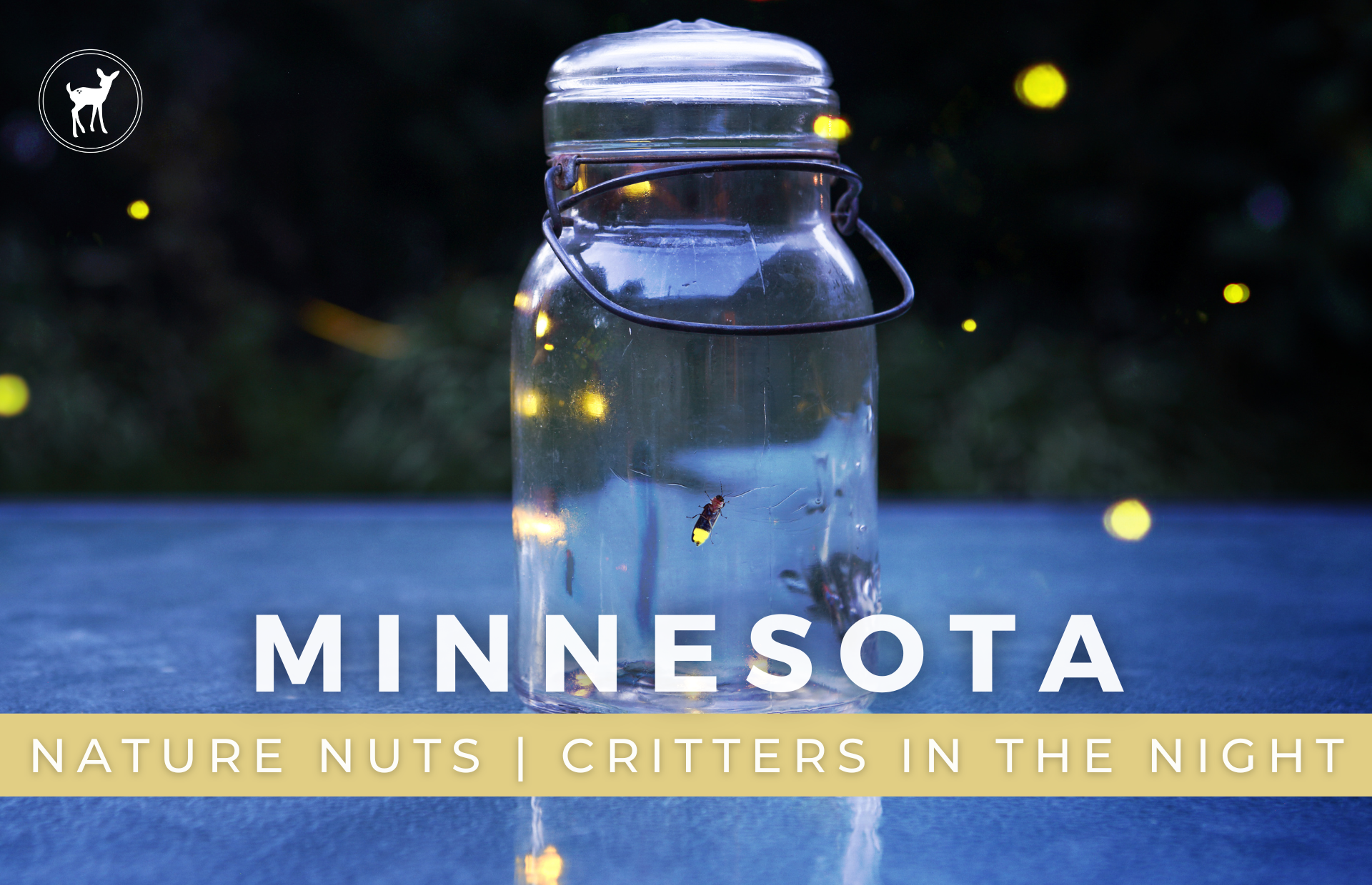 NATURE NUTS | CRITTERS IN THE NIGHT