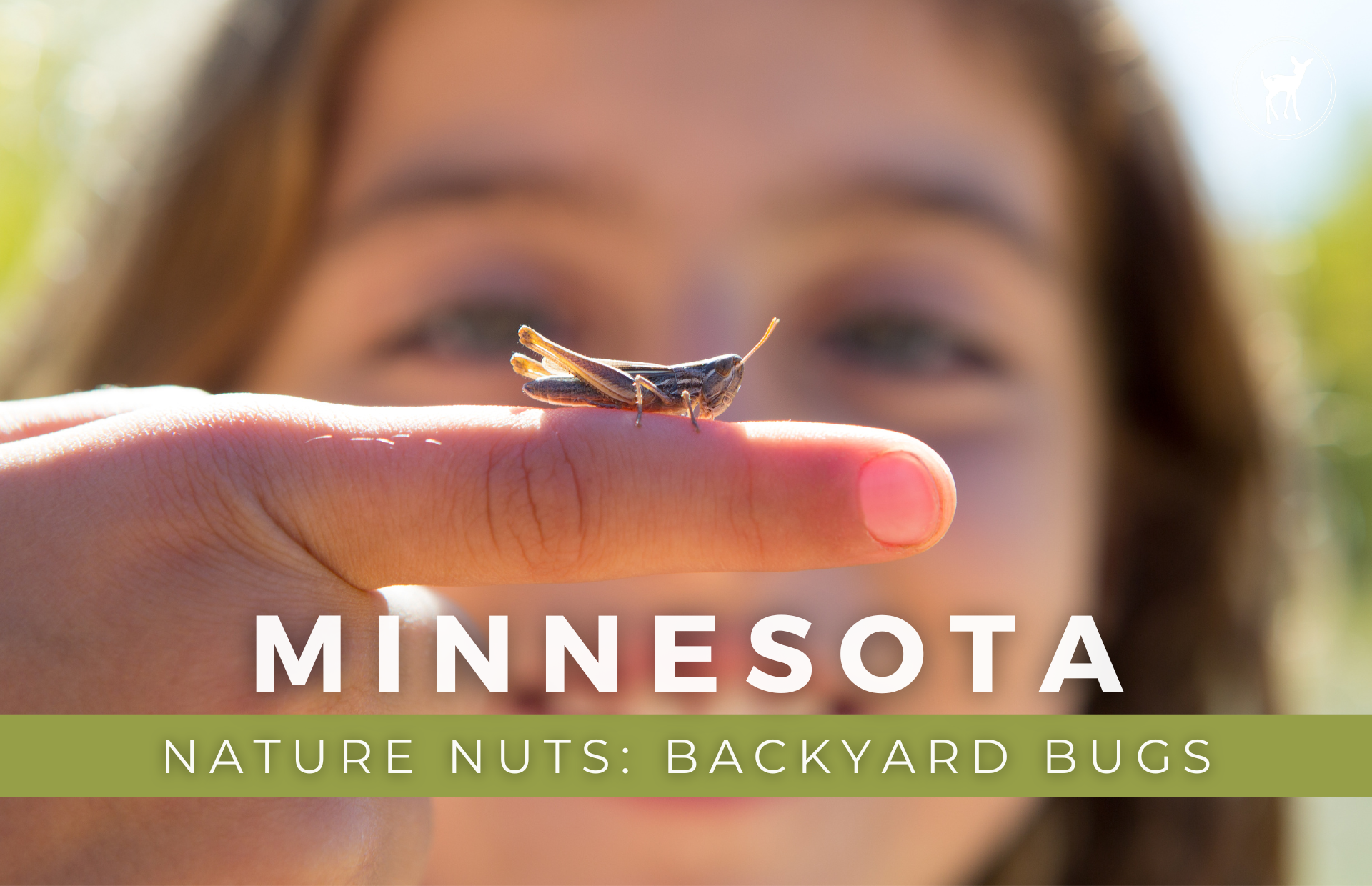 MINNESOTA NATURE NUTS: BACKYARD BUGS