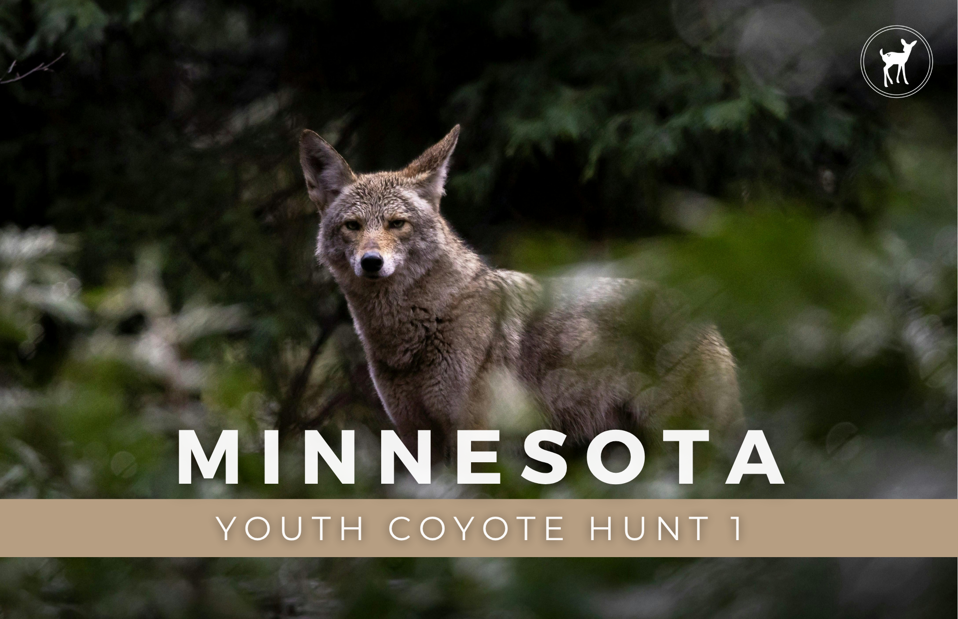 YOUTH COYOTE HUNT 1