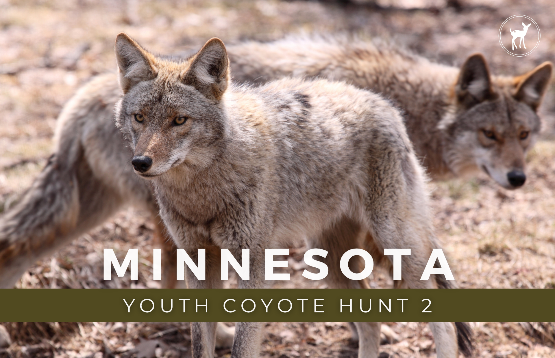 YOUTH COYOTE HUNT 2