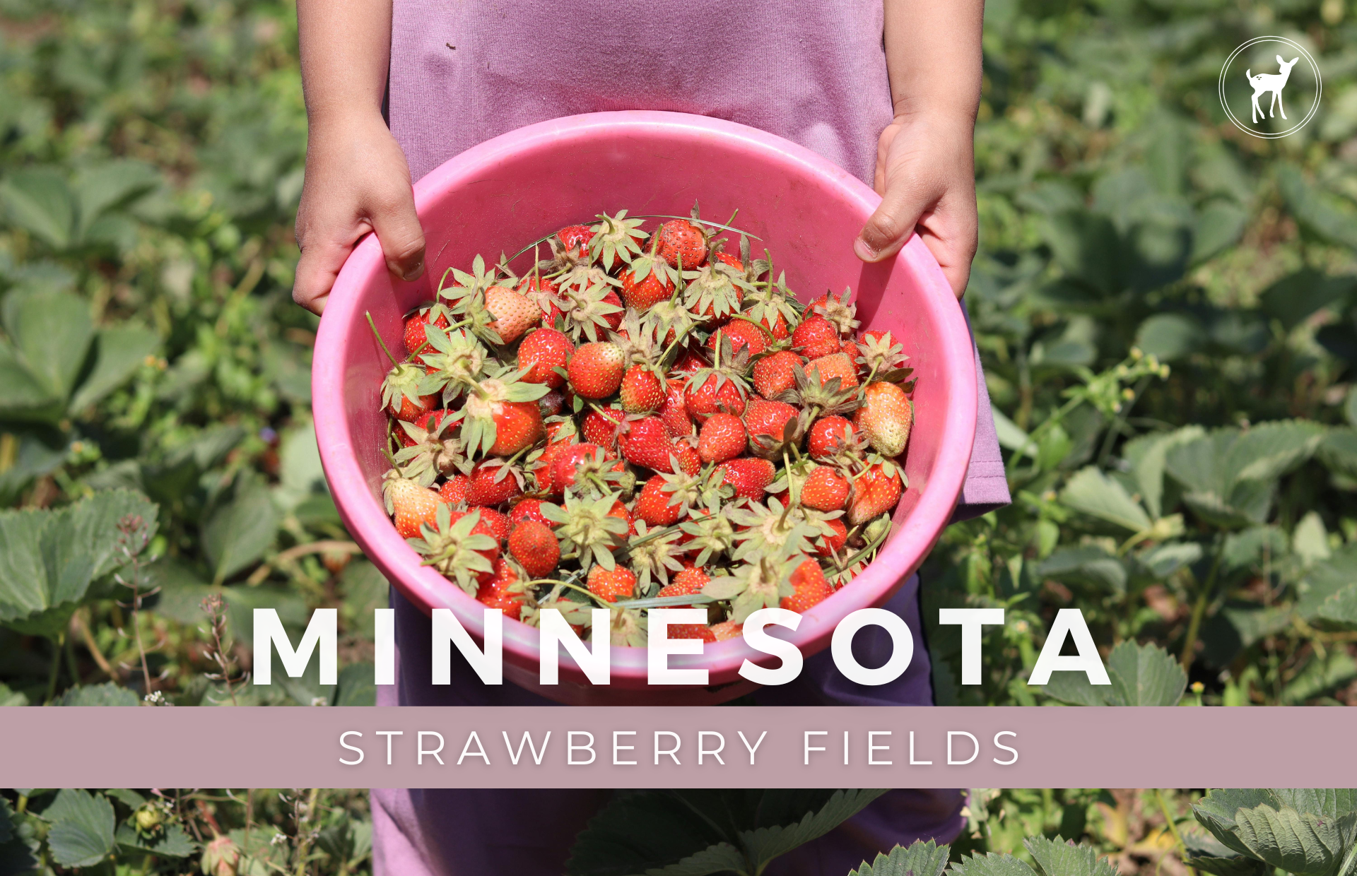 TRIP COVER PHOTOS LITTLE WILDERNESS (12).png