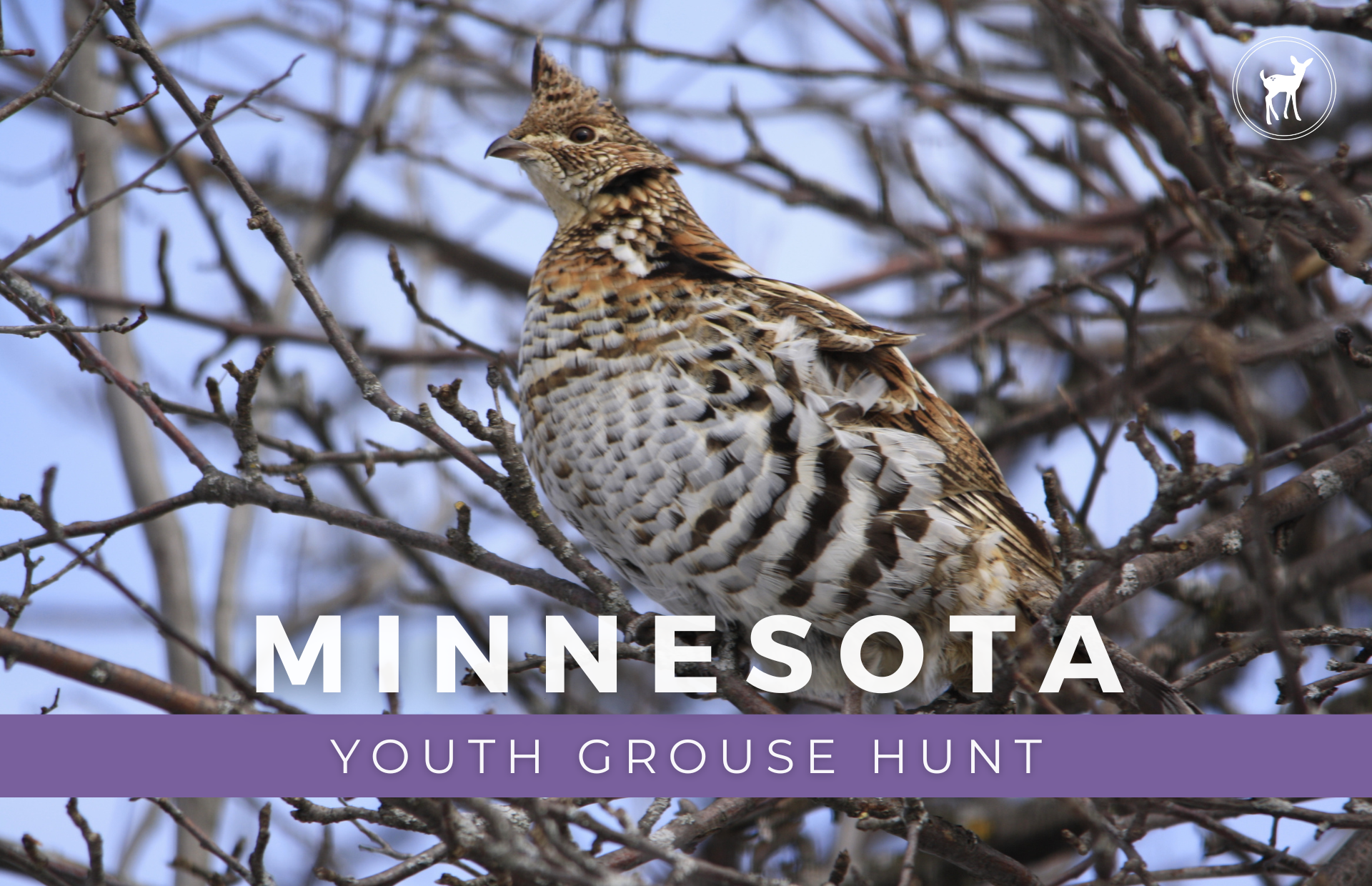 TRIP COVER PHOTOS LITTLE WILDERNESS.png