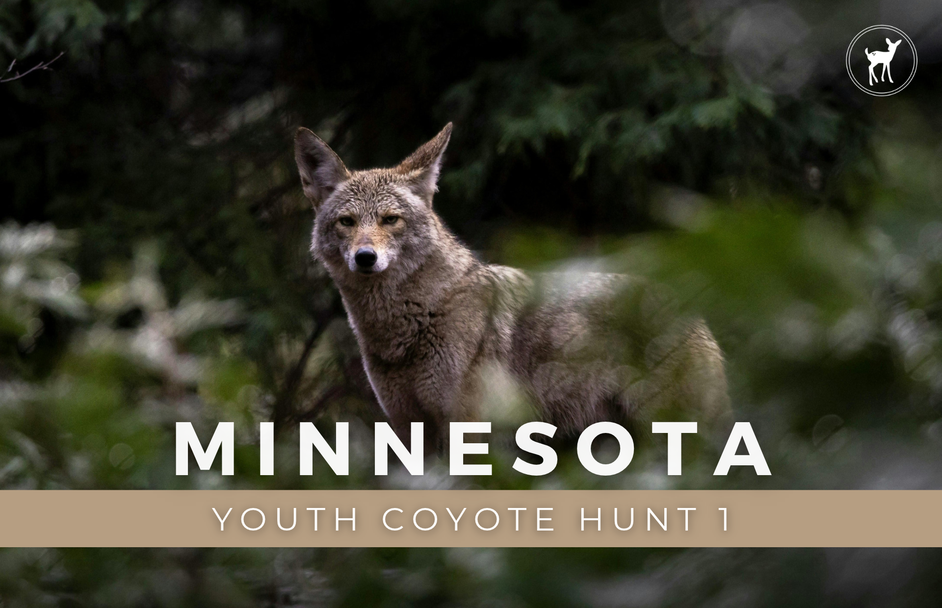 TRIP COVER PHOTOS_ LITTLE WILDERNESS.png