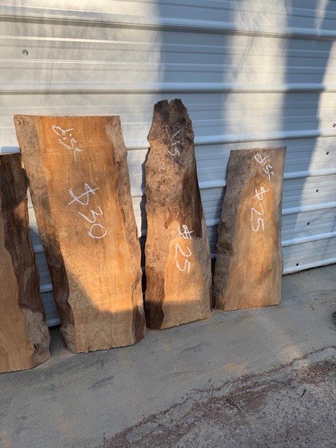 Kiln Dried Sycamore Live Edge Slabs