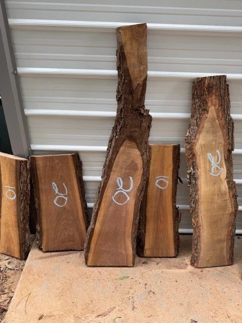 Kiln Dried Walnut Maple Live Edge Slab Shorts