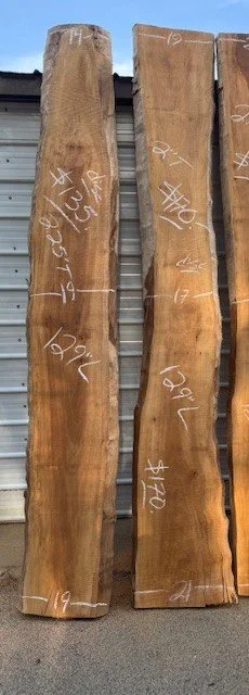 Kiln Dried Sycamore Live Edge Slabs