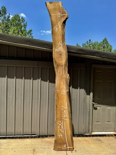 Kiln Dried Live Edge Black Walnut Slabs