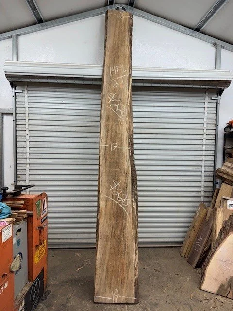 Kiln Dried Spalted Maple Live Edge Slab