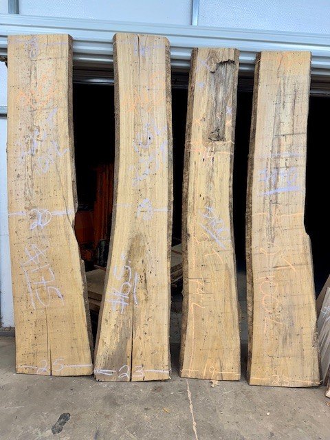Kiln Dried and Sterilized Live Edge Wormy Ash Slabs