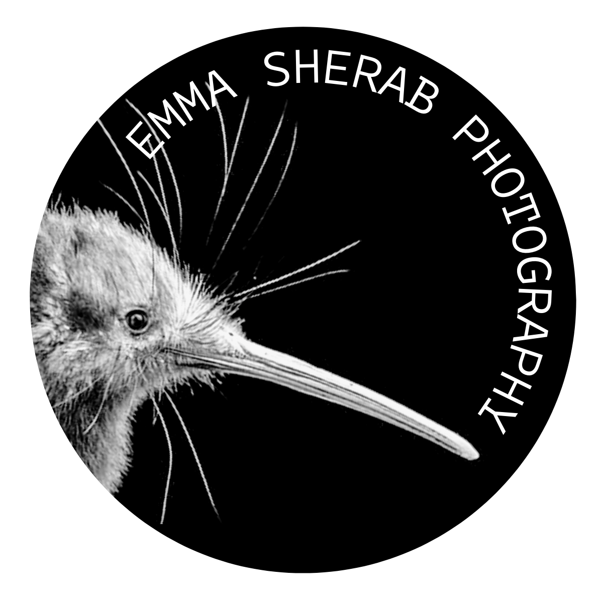 E Sherab Photography