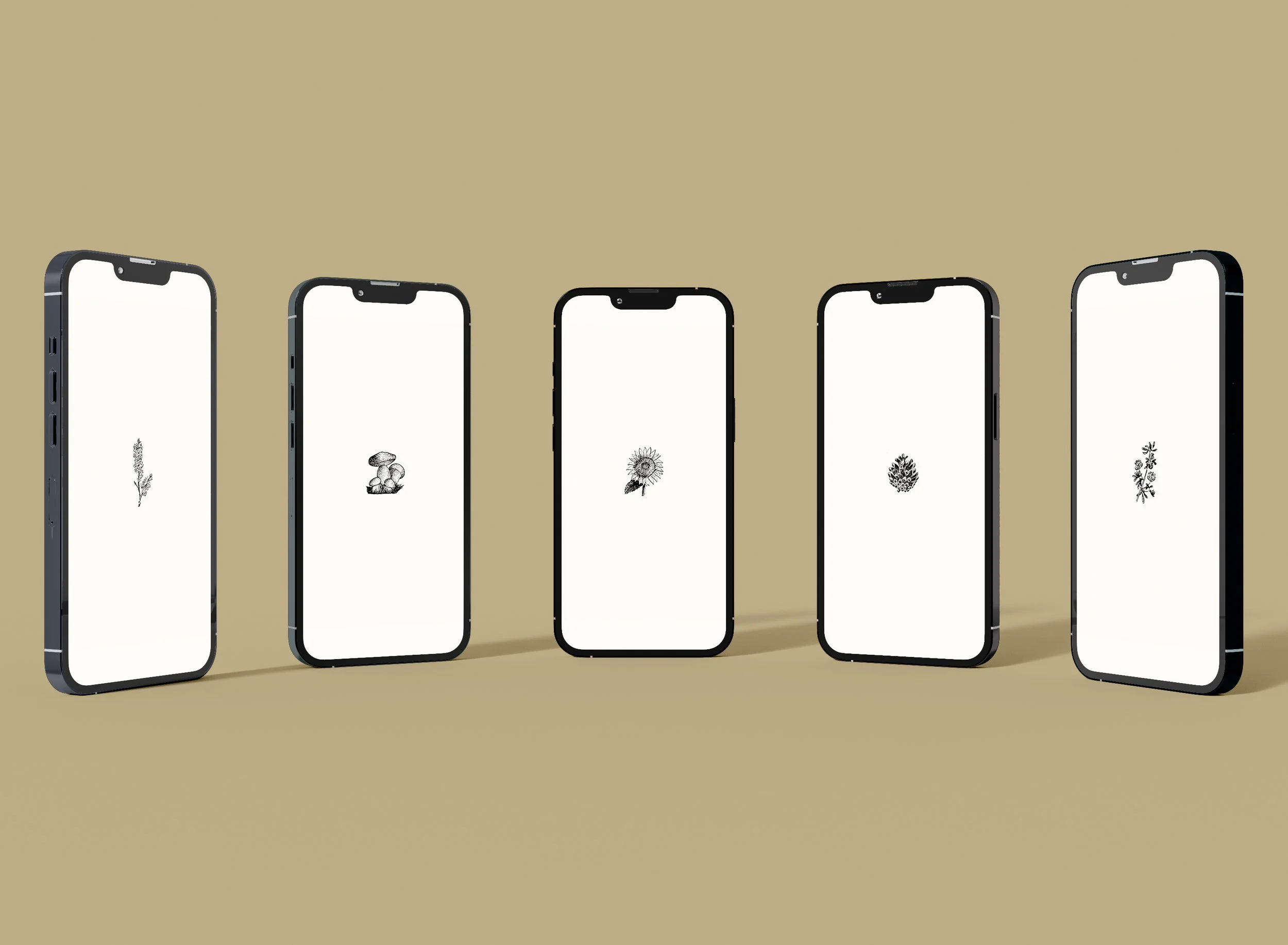 emmer highlight cover mock.jpg