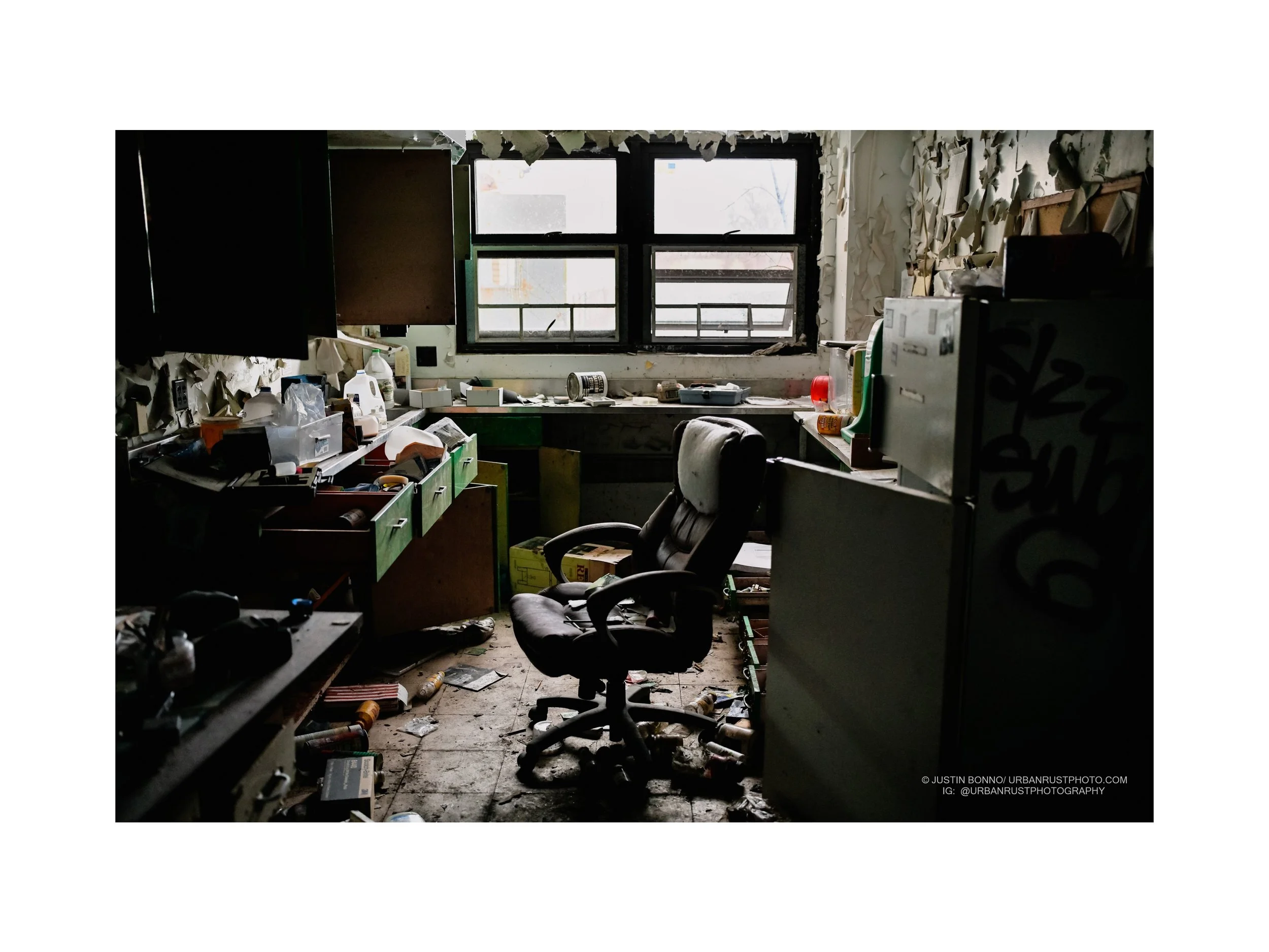 living the dream 1a.jpg