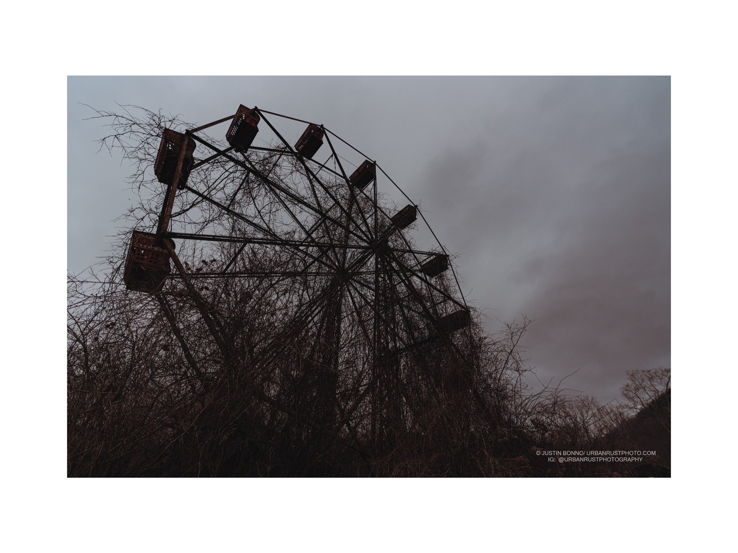 ferris buller 2a.jpg