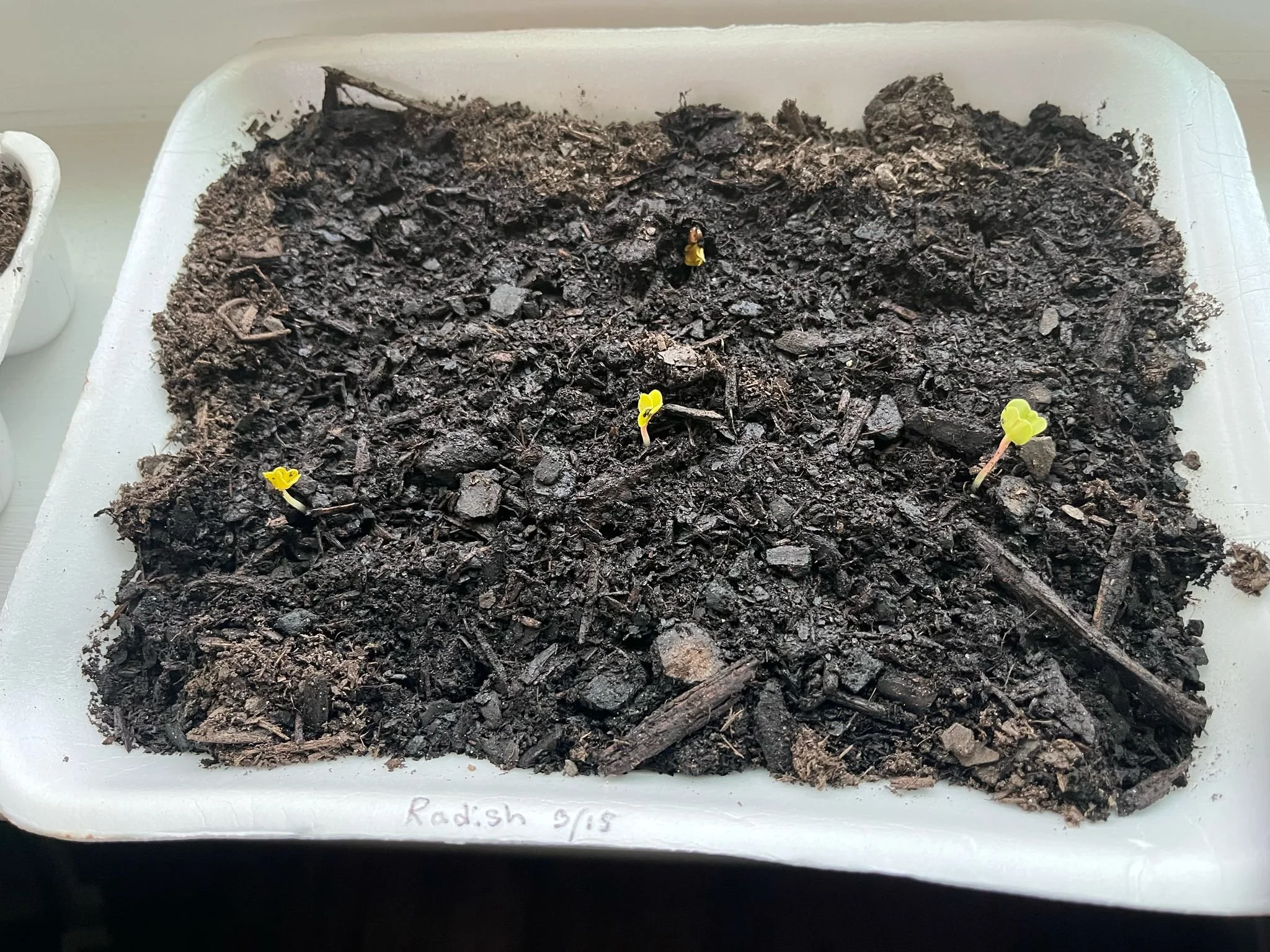 The Garden of Eatin’