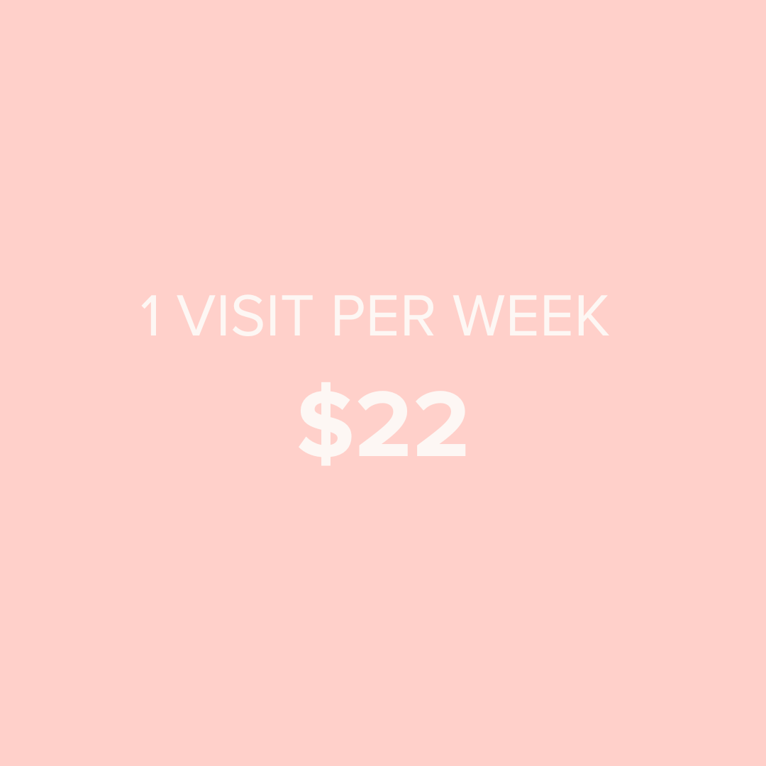Pink promotional graphic with white text that reads, '1 visit per week, $22'.