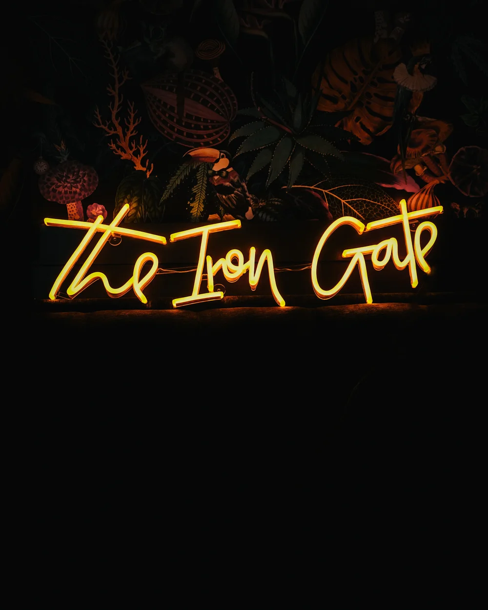 Iron Gate Bar Wyandotte Cocktails, Wine, Beer Food, and More