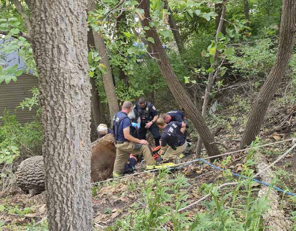 Fort Dodge Crews Rescue Man Trapped Under Tree 